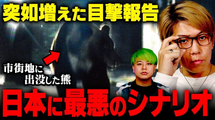 増加する熊報道の真相。日本に迫る脅威【 都市伝説 クマ 】